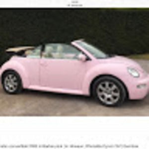 Meet your Posher, Dalie